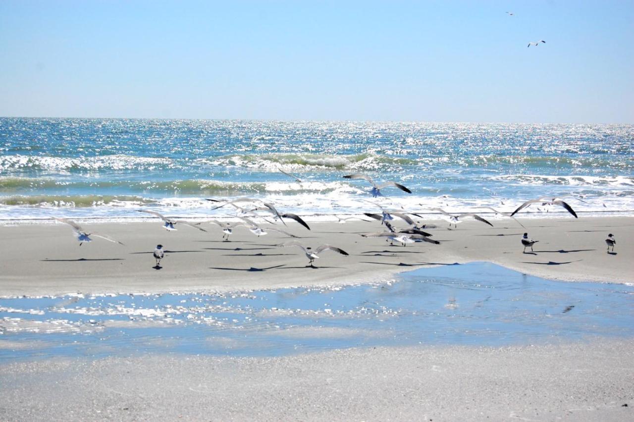 Waterpoint II 402 Appartement Myrtle Beach Buitenkant foto